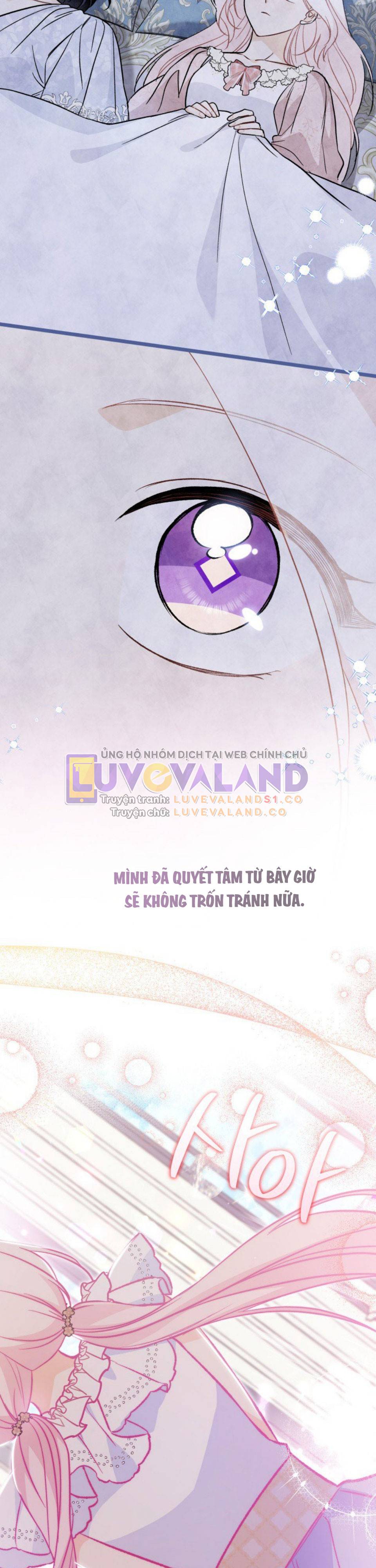 Mối Quan Hệ Cộng Sinh Giữa Báo Đen Và Thỏ Trắng: Chapter 141