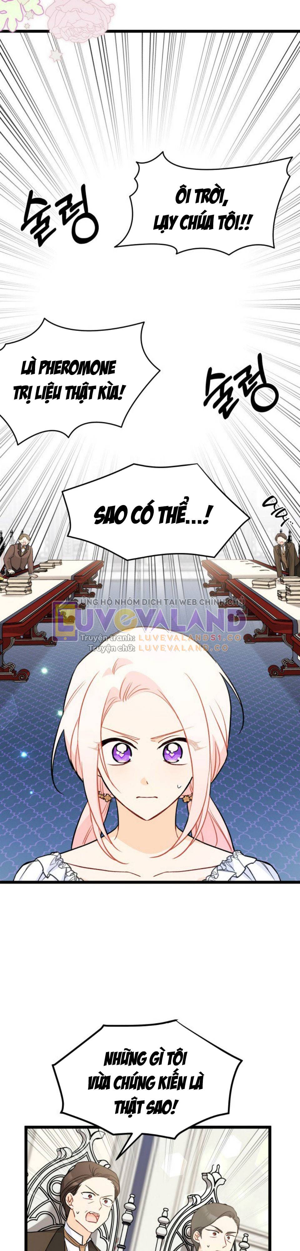 Mối Quan Hệ Cộng Sinh Giữa Báo Đen Và Thỏ Trắng: Chapter 141