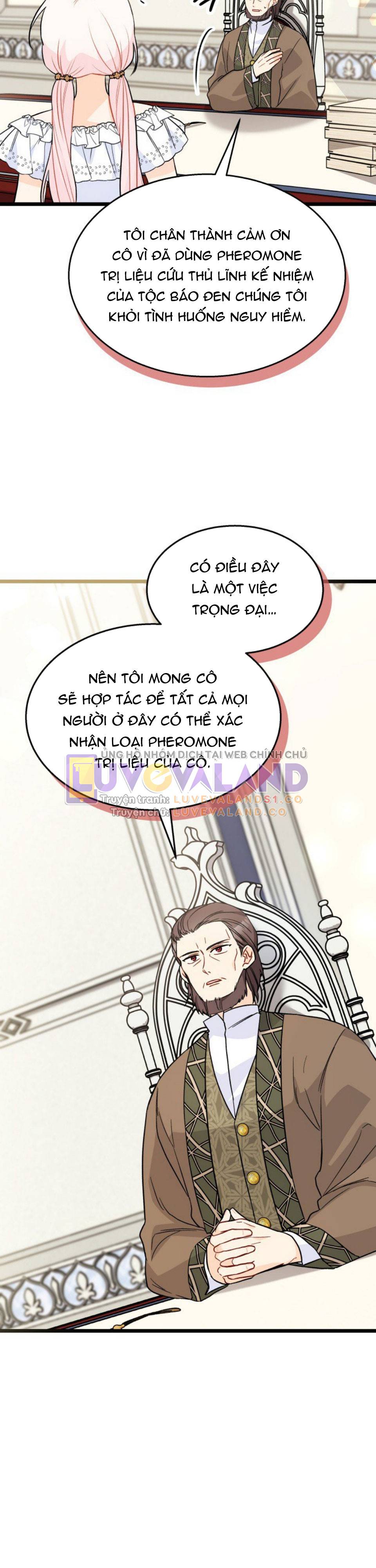 Mối Quan Hệ Cộng Sinh Giữa Báo Đen Và Thỏ Trắng: Chapter 141
