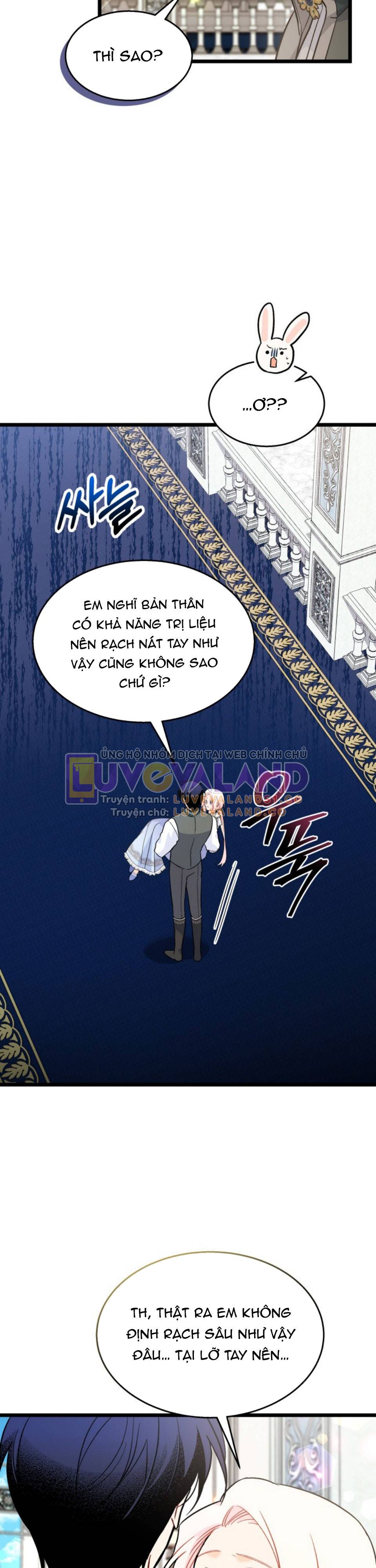 Mối Quan Hệ Cộng Sinh Giữa Báo Đen Và Thỏ Trắng: Chapter 142