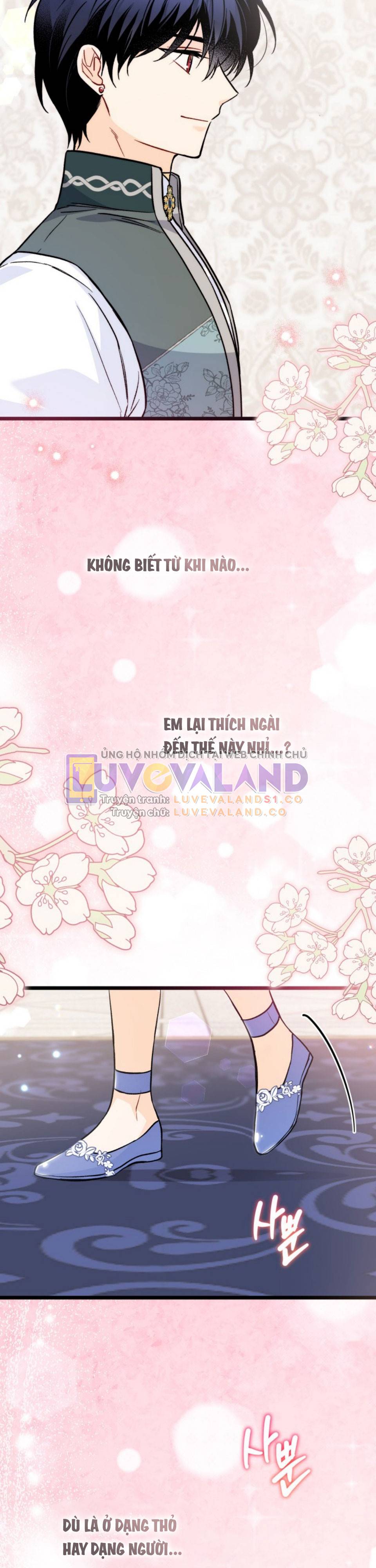 Mối Quan Hệ Cộng Sinh Giữa Báo Đen Và Thỏ Trắng: Chapter 143