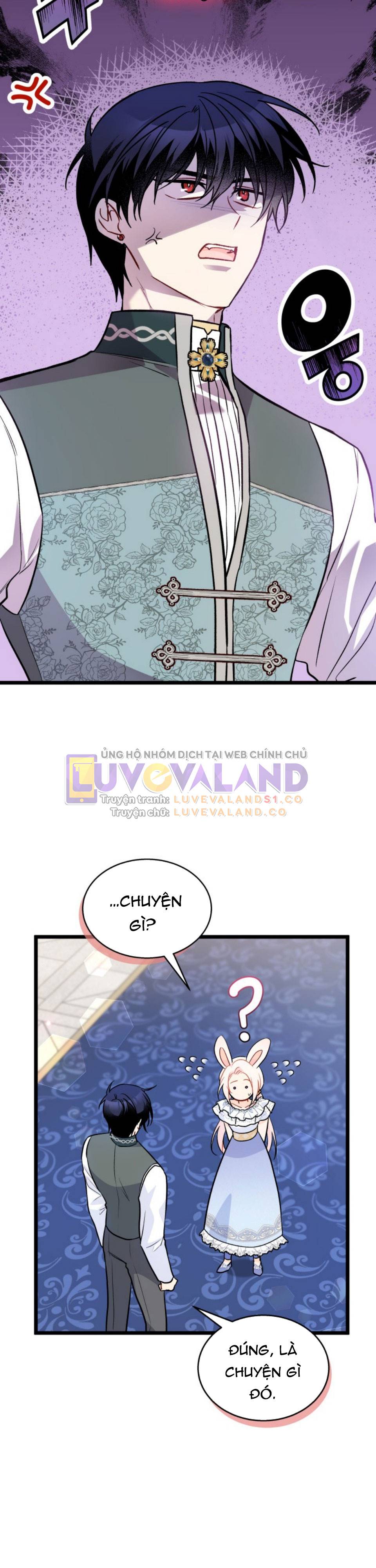 Mối Quan Hệ Cộng Sinh Giữa Báo Đen Và Thỏ Trắng: Chapter 143
