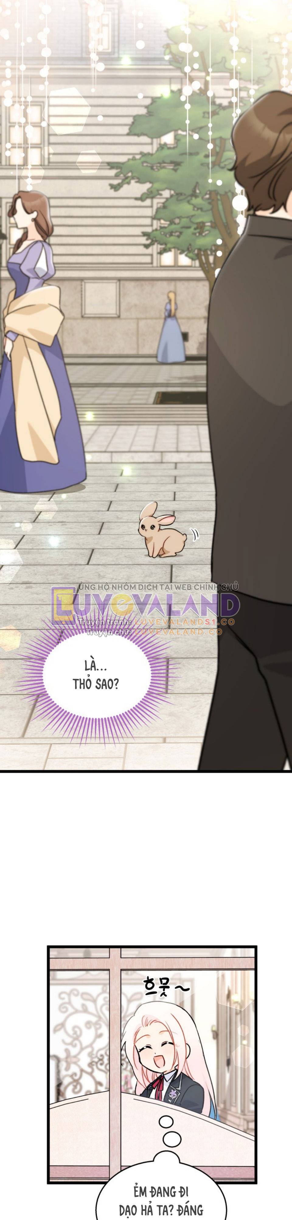 Mối Quan Hệ Cộng Sinh Giữa Báo Đen Và Thỏ Trắng: Chapter 145