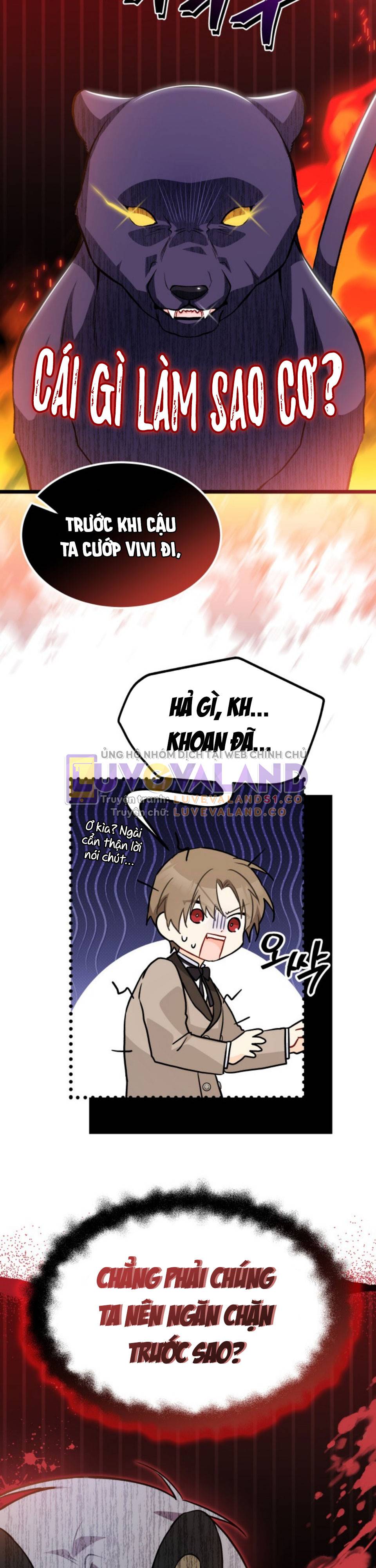 Mối Quan Hệ Cộng Sinh Giữa Báo Đen Và Thỏ Trắng: Chapter 146
