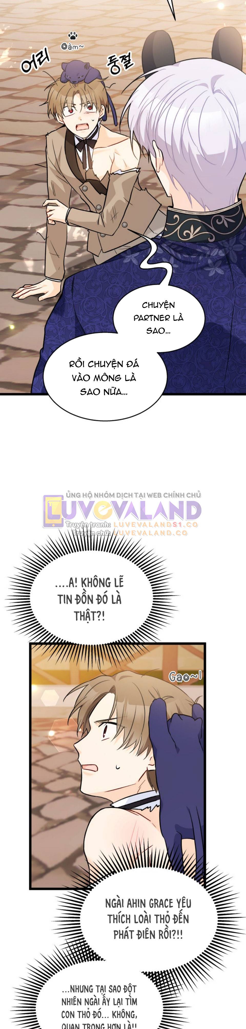 Mối Quan Hệ Cộng Sinh Giữa Báo Đen Và Thỏ Trắng: Chapter 146