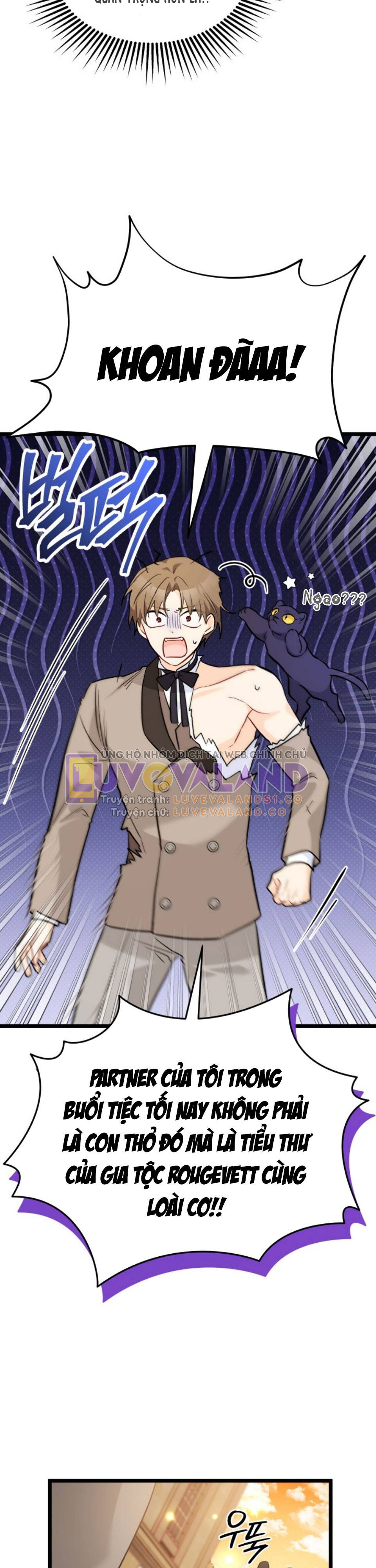 Mối Quan Hệ Cộng Sinh Giữa Báo Đen Và Thỏ Trắng: Chapter 146