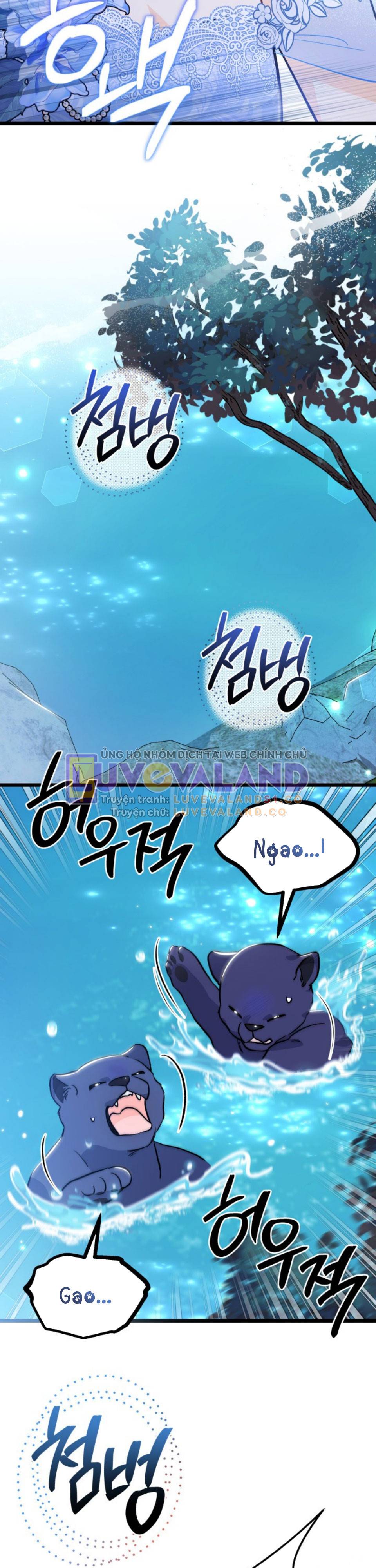 Mối Quan Hệ Cộng Sinh Giữa Báo Đen Và Thỏ Trắng: Chapter 148