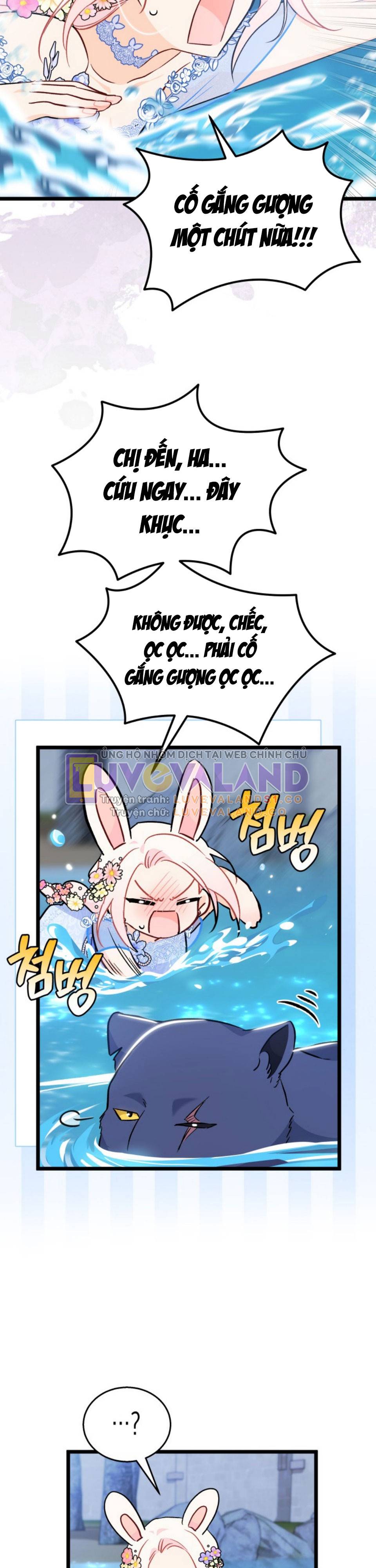 Mối Quan Hệ Cộng Sinh Giữa Báo Đen Và Thỏ Trắng: Chapter 148