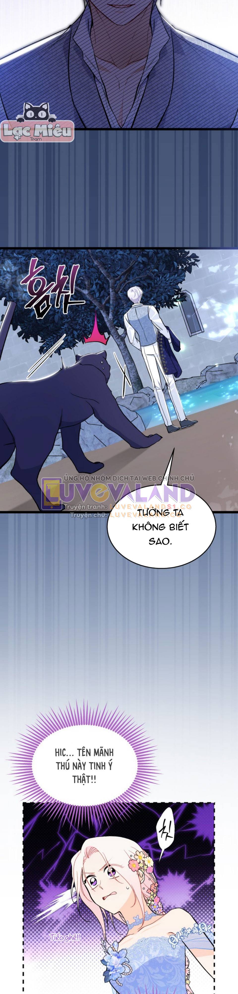 Mối Quan Hệ Cộng Sinh Giữa Báo Đen Và Thỏ Trắng: Chapter 149