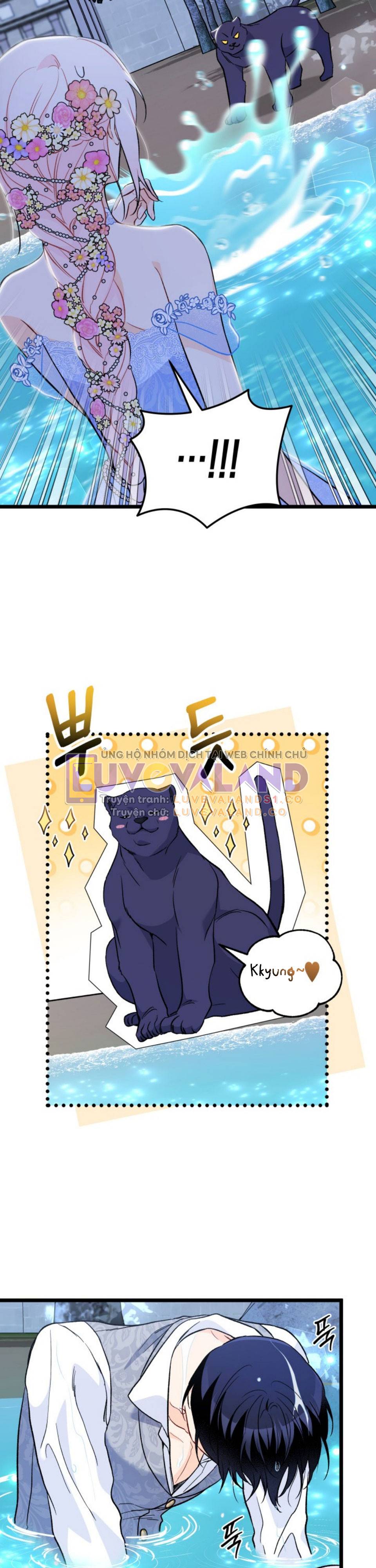 Mối Quan Hệ Cộng Sinh Giữa Báo Đen Và Thỏ Trắng: Chapter 149