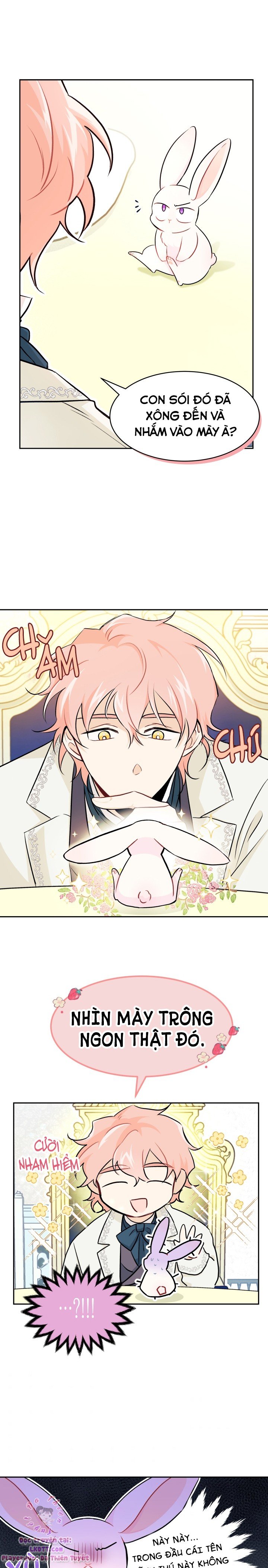 Mối Quan Hệ Cộng Sinh Giữa Báo Đen Và Thỏ Trắng: Chapter 15