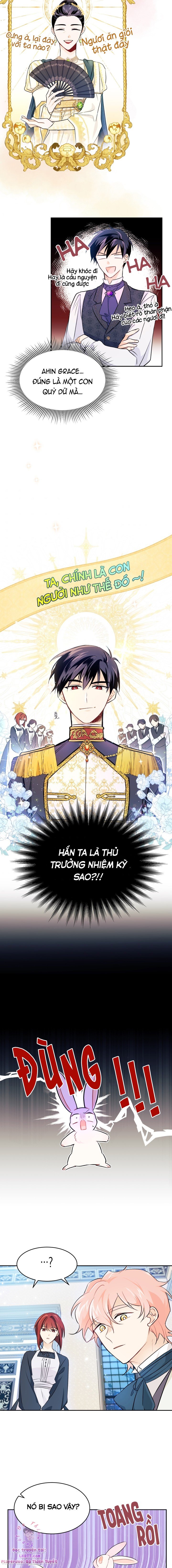 Mối Quan Hệ Cộng Sinh Giữa Báo Đen Và Thỏ Trắng: Chapter 15