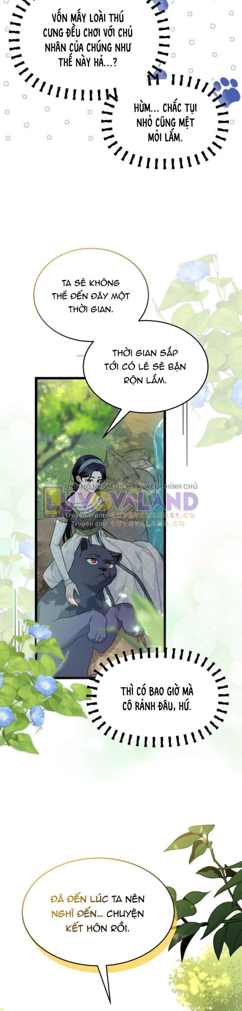 Mối Quan Hệ Cộng Sinh Giữa Báo Đen Và Thỏ Trắng: Chapter 153