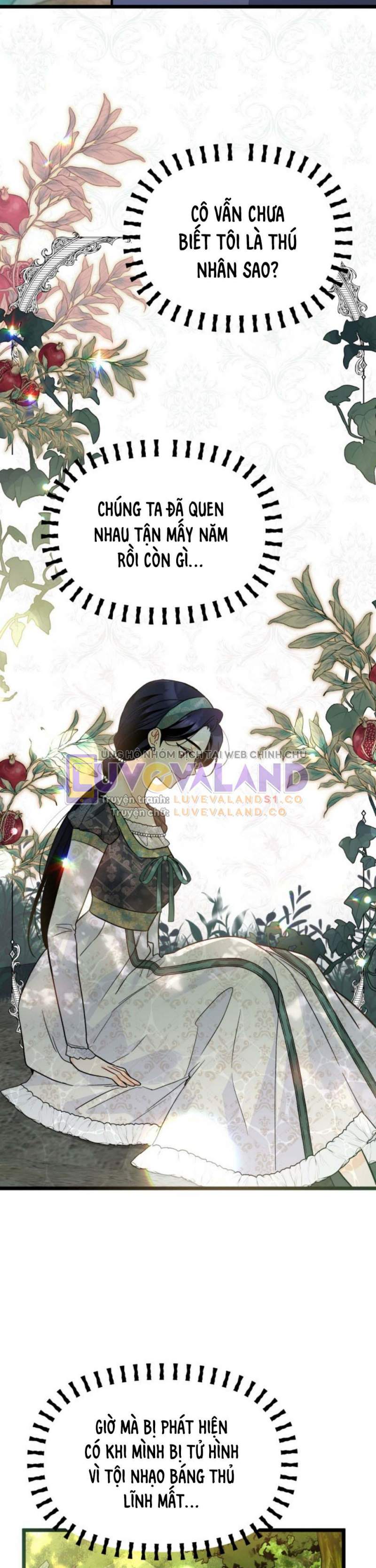 Mối Quan Hệ Cộng Sinh Giữa Báo Đen Và Thỏ Trắng: Chapter 153