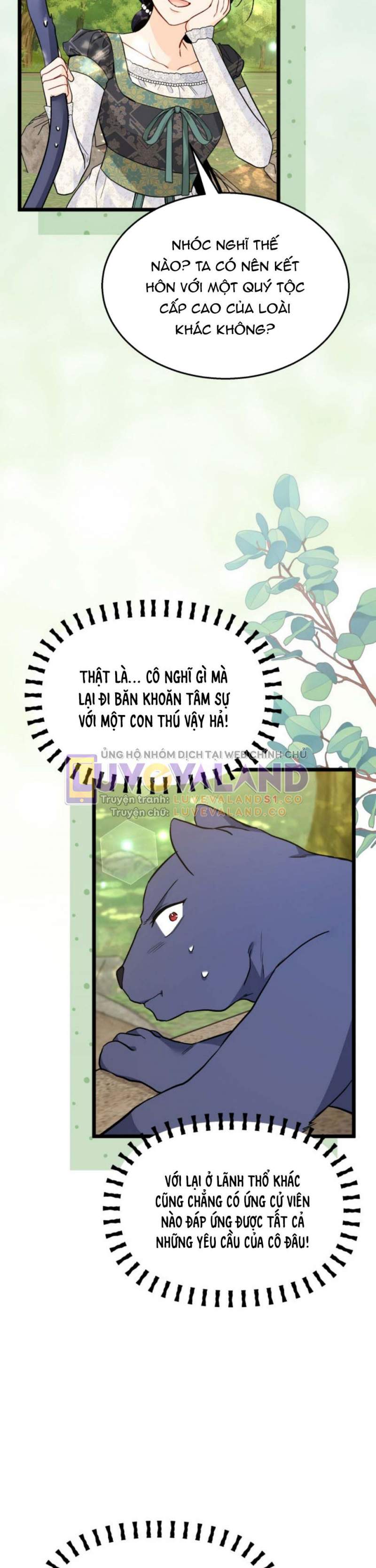 Mối Quan Hệ Cộng Sinh Giữa Báo Đen Và Thỏ Trắng: Chapter 153