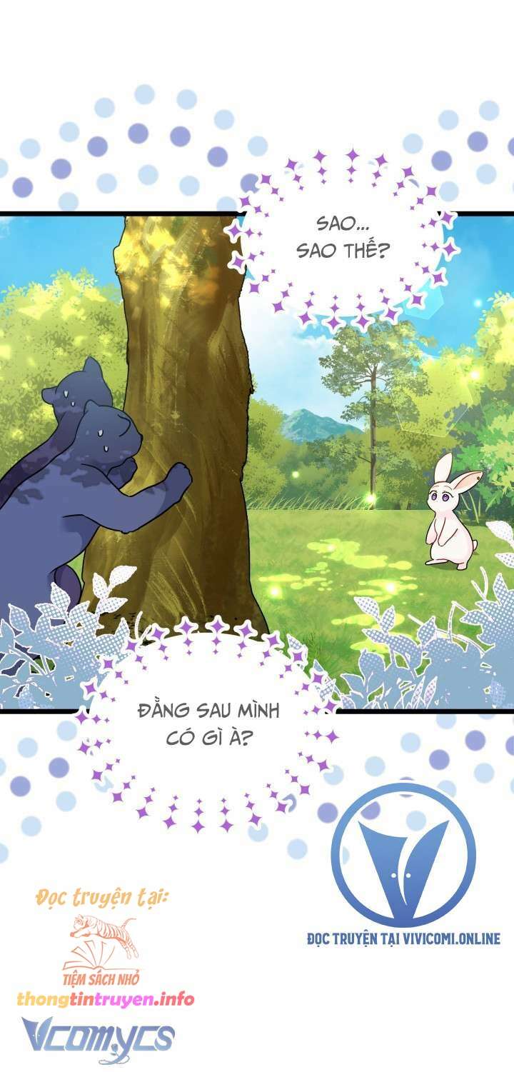 Mối Quan Hệ Cộng Sinh Giữa Báo Đen Và Thỏ Trắng: Chapter 155