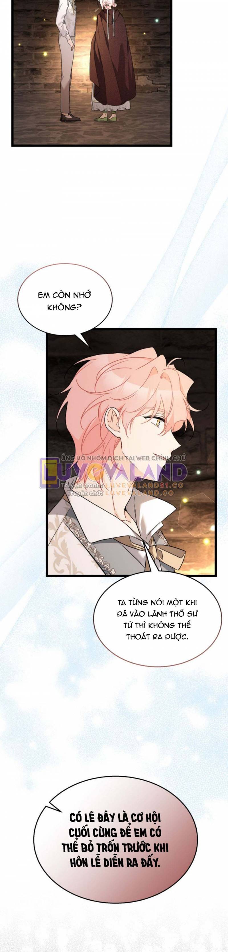 Mối Quan Hệ Cộng Sinh Giữa Báo Đen Và Thỏ Trắng: Chapter 157