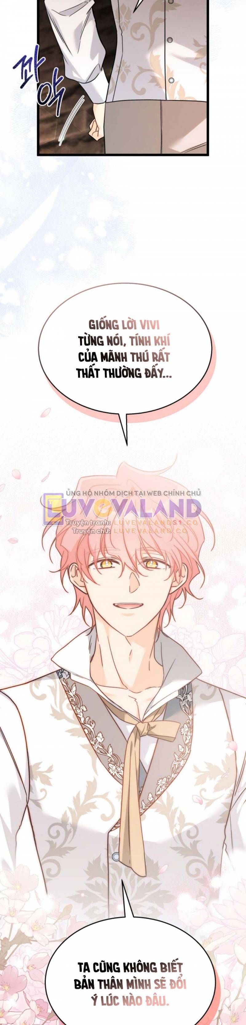 Mối Quan Hệ Cộng Sinh Giữa Báo Đen Và Thỏ Trắng: Chapter 157