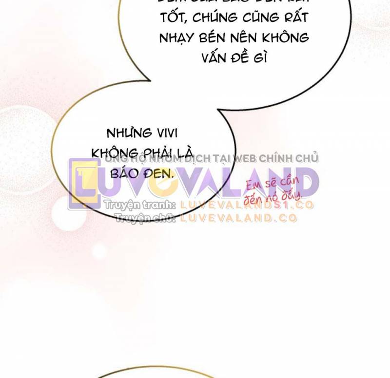 Mối Quan Hệ Cộng Sinh Giữa Báo Đen Và Thỏ Trắng: Chapter 157