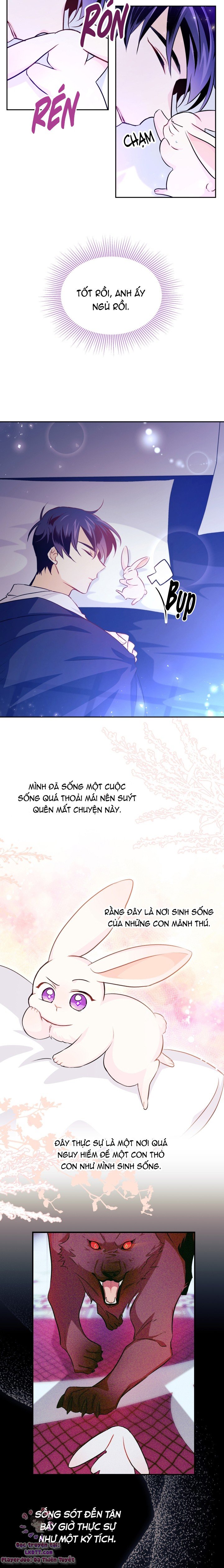 Mối Quan Hệ Cộng Sinh Giữa Báo Đen Và Thỏ Trắng: Chapter 16