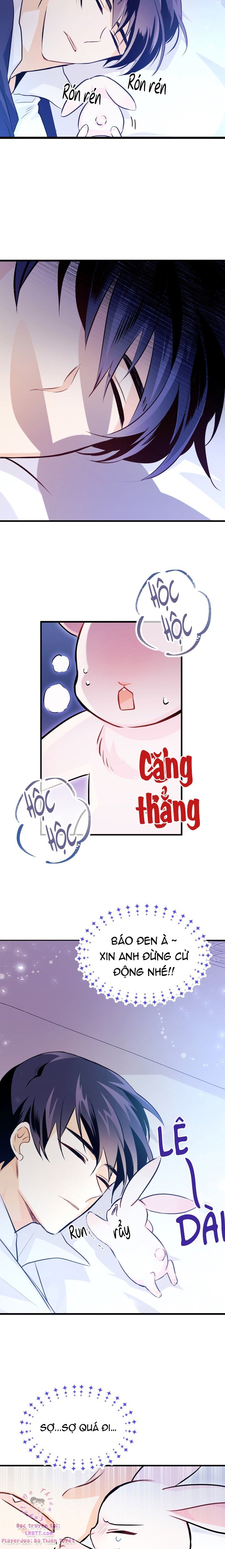 Mối Quan Hệ Cộng Sinh Giữa Báo Đen Và Thỏ Trắng: Chapter 16