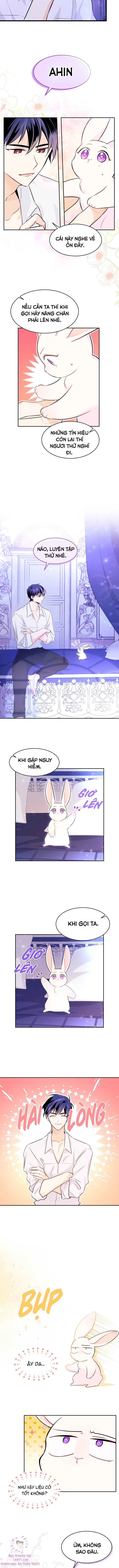 Mối Quan Hệ Cộng Sinh Giữa Báo Đen Và Thỏ Trắng: Chapter 16