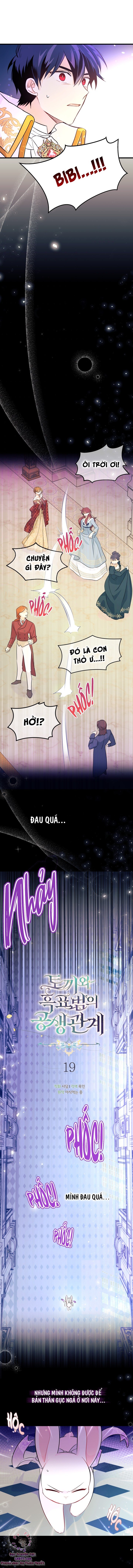 Mối Quan Hệ Cộng Sinh Giữa Báo Đen Và Thỏ Trắng: Chapter 19