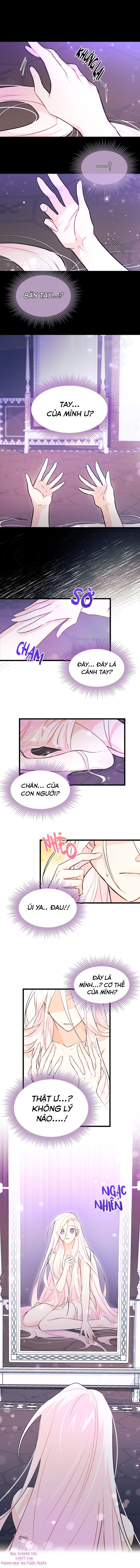 Mối Quan Hệ Cộng Sinh Giữa Báo Đen Và Thỏ Trắng: Chapter 19