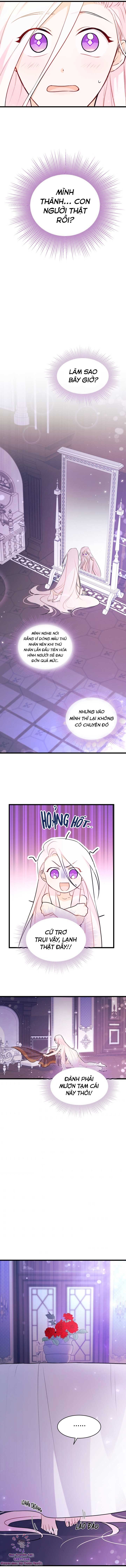 Mối Quan Hệ Cộng Sinh Giữa Báo Đen Và Thỏ Trắng: Chapter 19