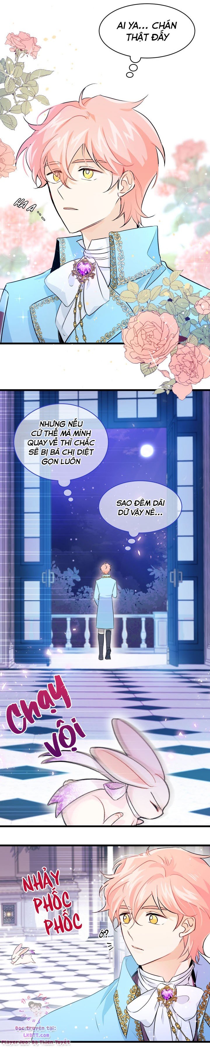 Mối Quan Hệ Cộng Sinh Giữa Báo Đen Và Thỏ Trắng: Chapter 20