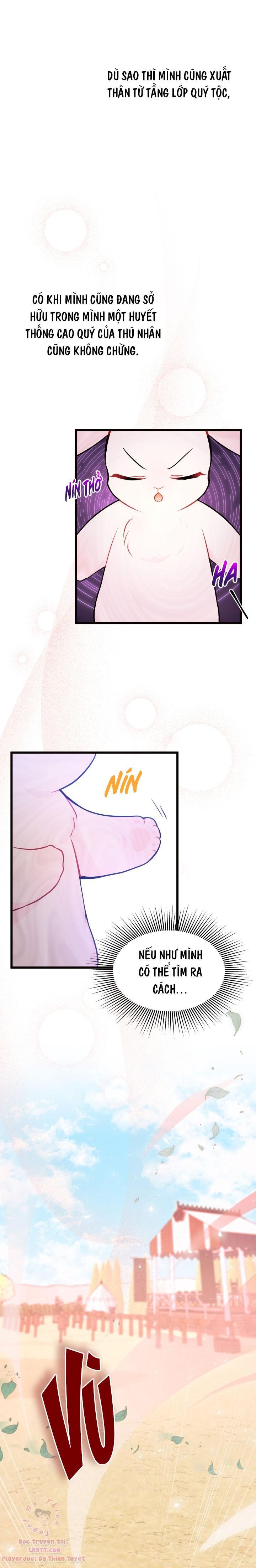 Mối Quan Hệ Cộng Sinh Giữa Báo Đen Và Thỏ Trắng: Chapter 22