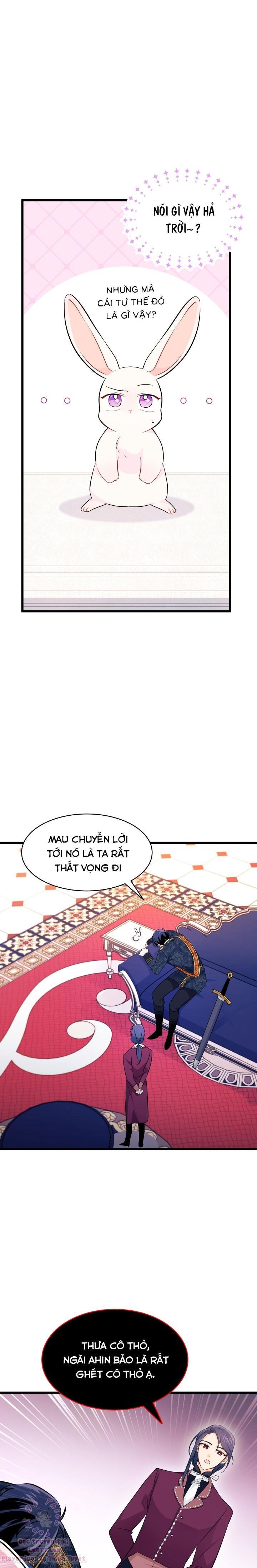 Mối Quan Hệ Cộng Sinh Giữa Báo Đen Và Thỏ Trắng: Chapter 22