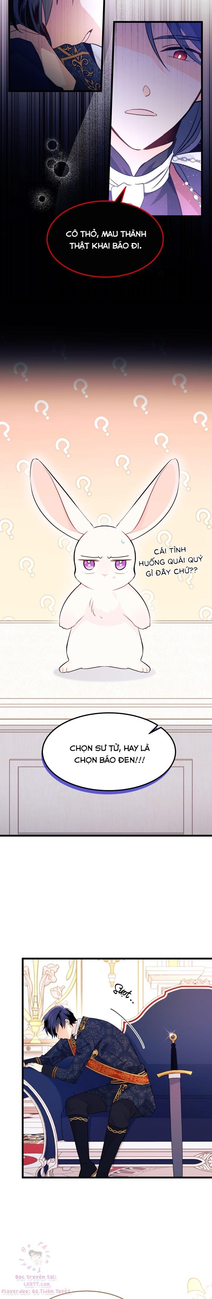 Mối Quan Hệ Cộng Sinh Giữa Báo Đen Và Thỏ Trắng: Chapter 22