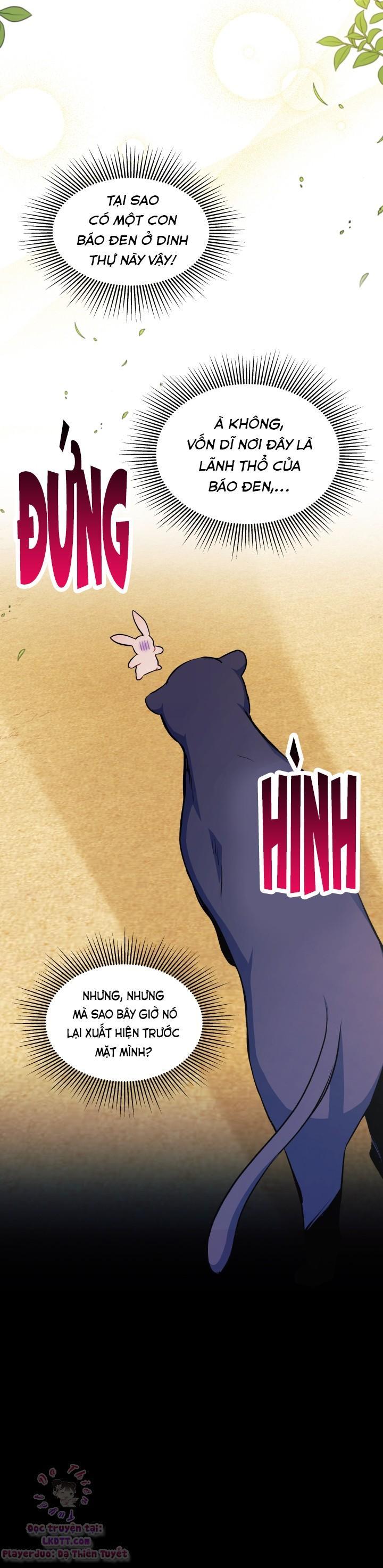 Mối Quan Hệ Cộng Sinh Giữa Báo Đen Và Thỏ Trắng: Chapter 23