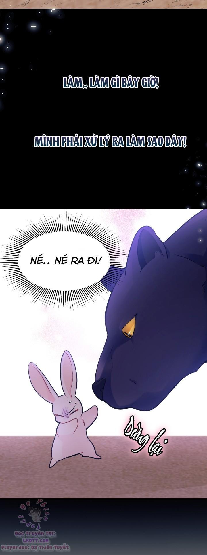 Mối Quan Hệ Cộng Sinh Giữa Báo Đen Và Thỏ Trắng: Chapter 23