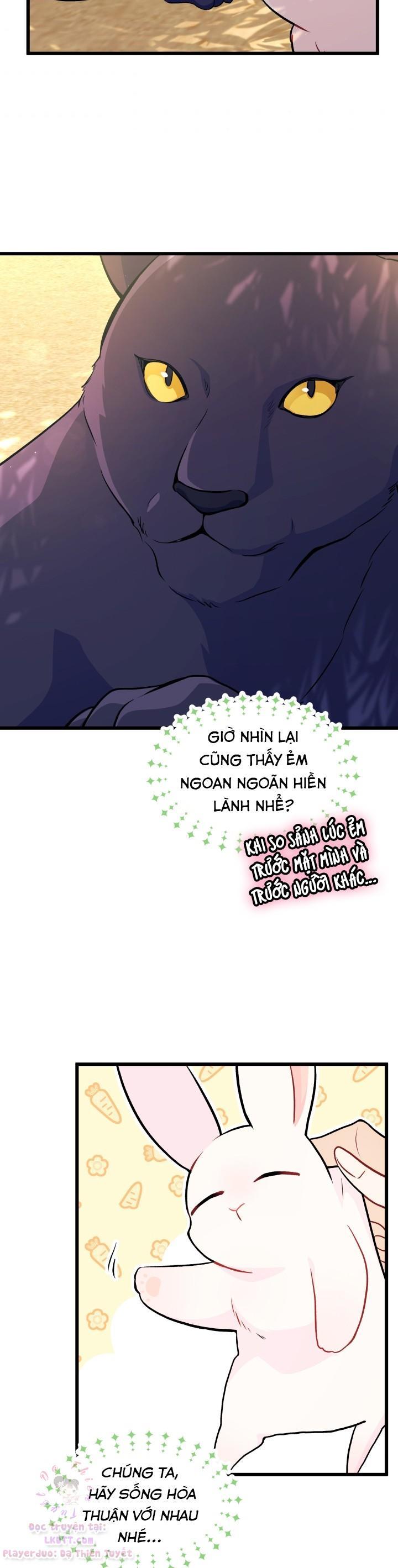 Mối Quan Hệ Cộng Sinh Giữa Báo Đen Và Thỏ Trắng: Chapter 23