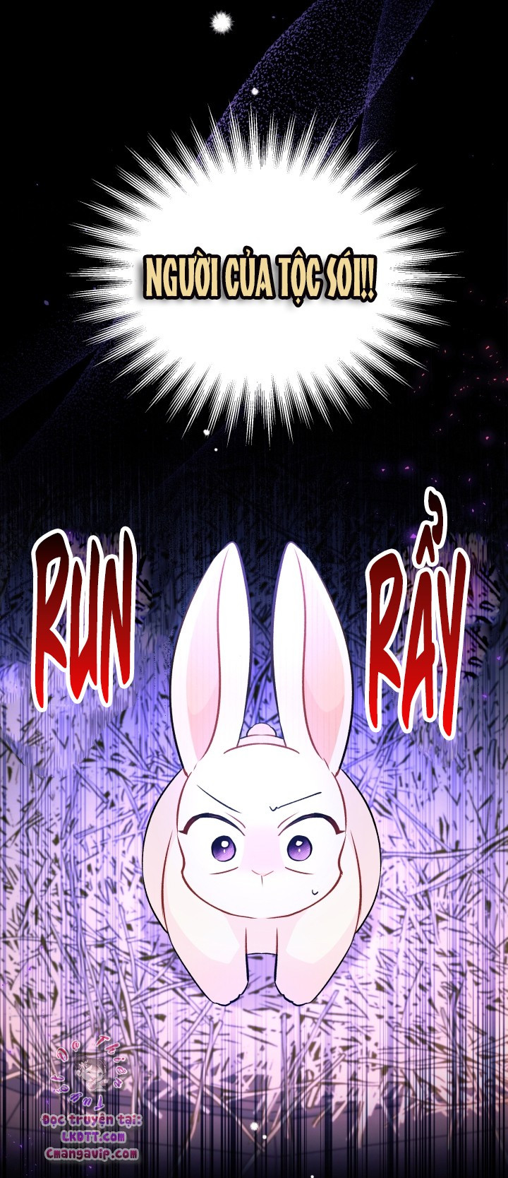 Mối Quan Hệ Cộng Sinh Giữa Báo Đen Và Thỏ Trắng: Chapter 28