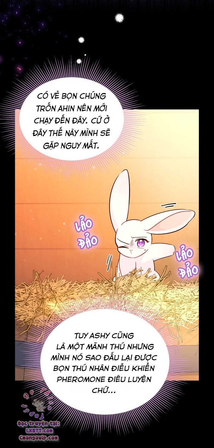 Mối Quan Hệ Cộng Sinh Giữa Báo Đen Và Thỏ Trắng: Chapter 28