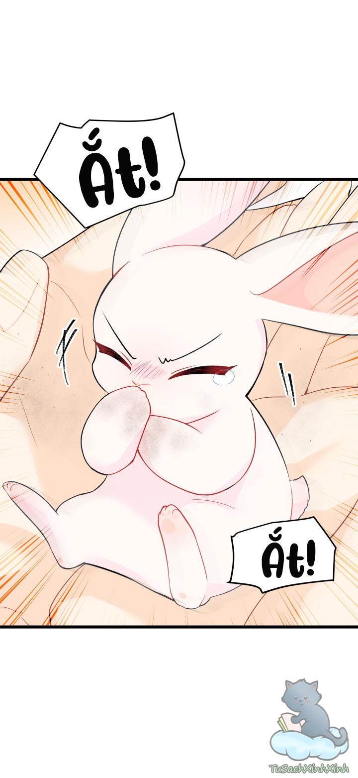 Mối Quan Hệ Cộng Sinh Giữa Báo Đen Và Thỏ Trắng: Chapter 35.5