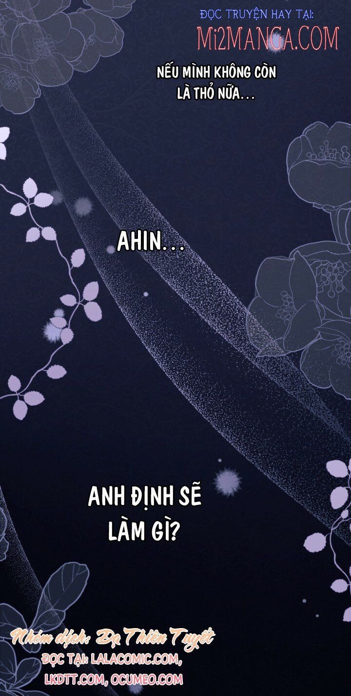Mối Quan Hệ Cộng Sinh Giữa Báo Đen Và Thỏ Trắng: Chapter 37.5