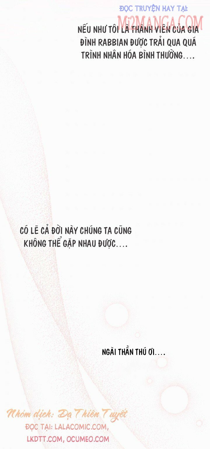 Mối Quan Hệ Cộng Sinh Giữa Báo Đen Và Thỏ Trắng: Chapter 39