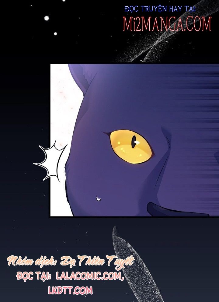 Mối Quan Hệ Cộng Sinh Giữa Báo Đen Và Thỏ Trắng: Chapter 40.5