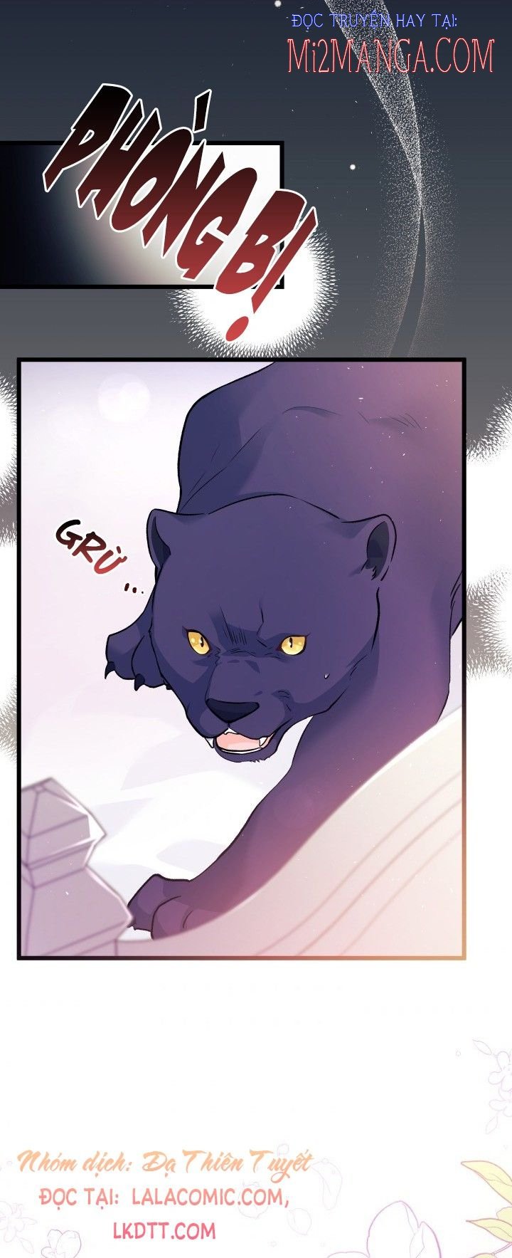 Mối Quan Hệ Cộng Sinh Giữa Báo Đen Và Thỏ Trắng: Chapter 40.5