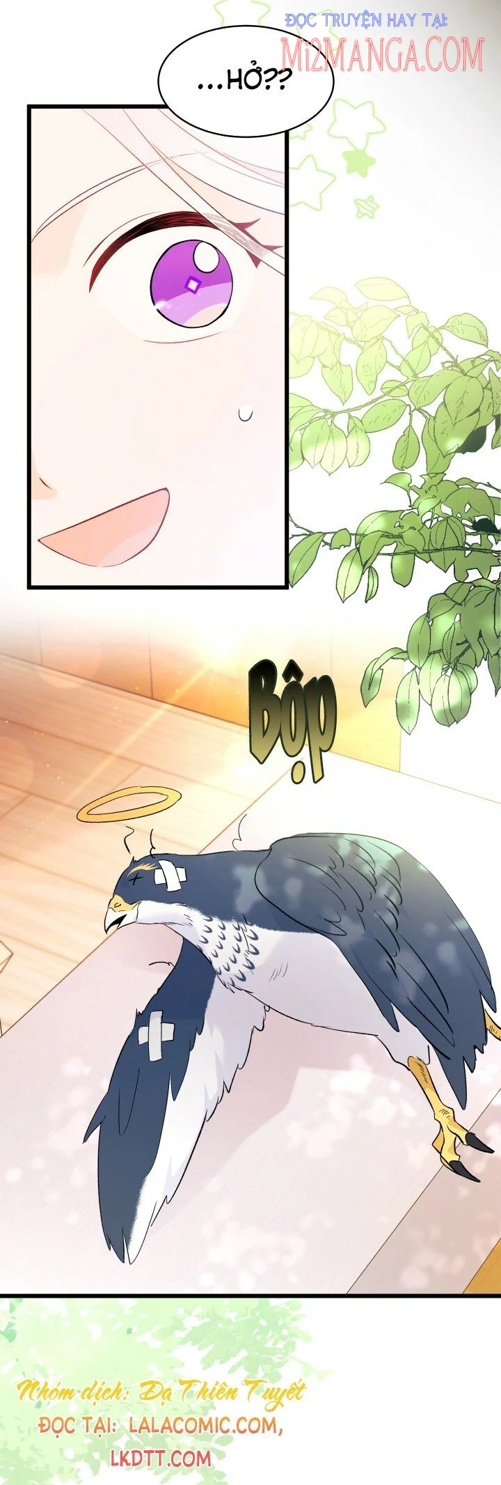 Mối Quan Hệ Cộng Sinh Giữa Báo Đen Và Thỏ Trắng: Chapter 41.5