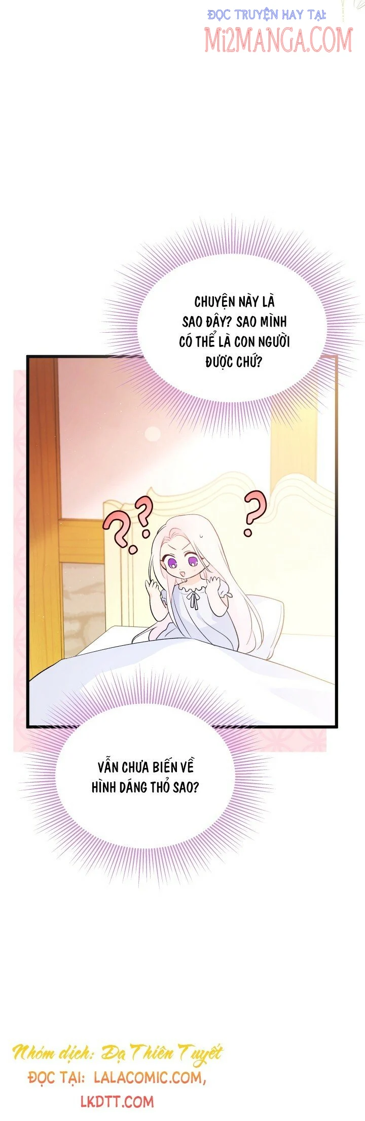 Mối Quan Hệ Cộng Sinh Giữa Báo Đen Và Thỏ Trắng: Chapter 41