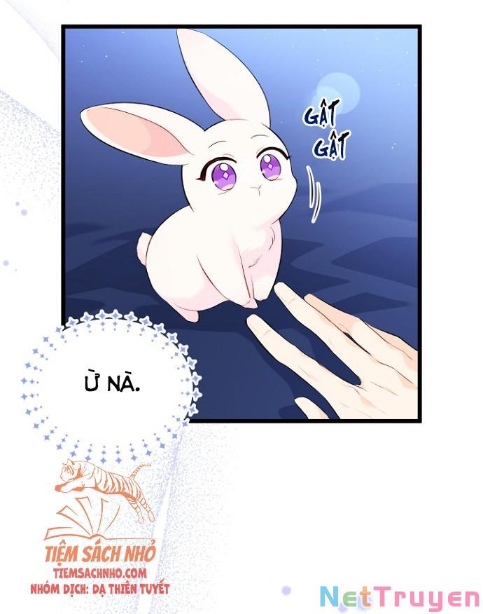 Mối Quan Hệ Cộng Sinh Giữa Báo Đen Và Thỏ Trắng: Chapter 47