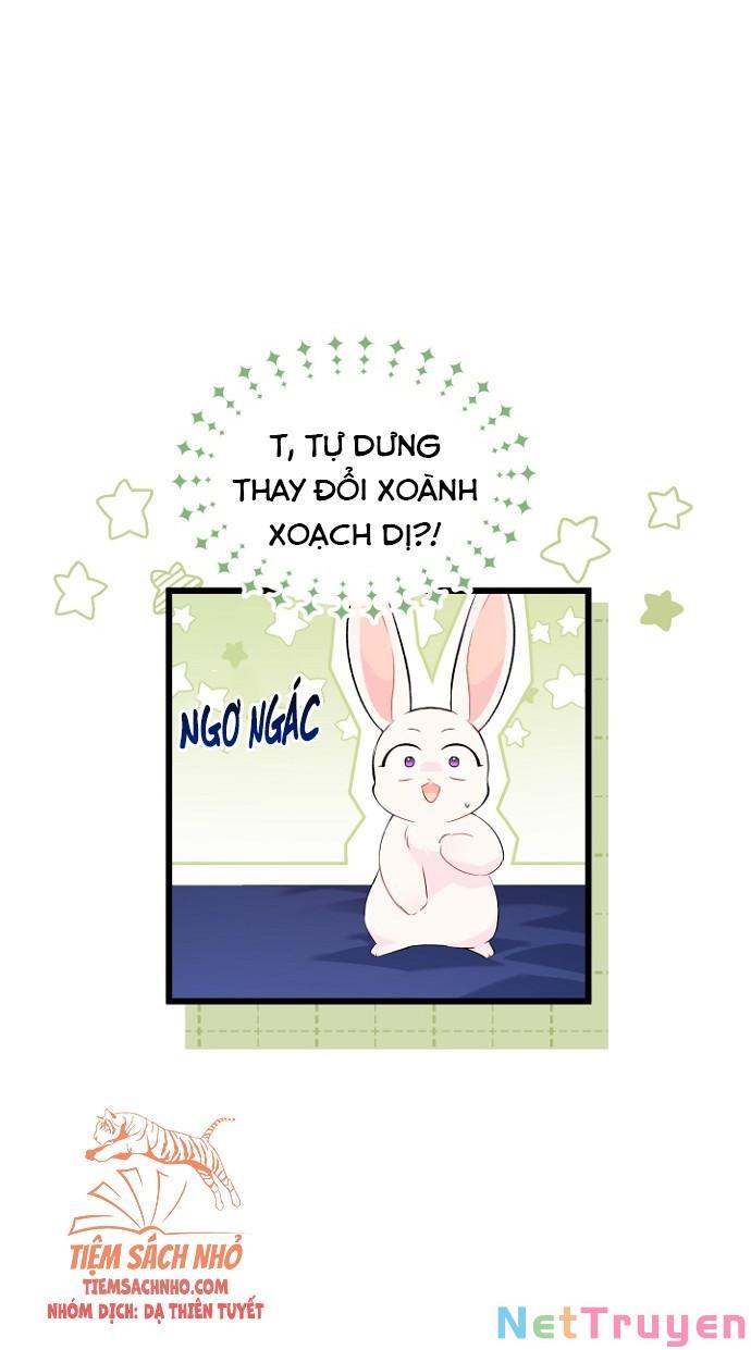 Mối Quan Hệ Cộng Sinh Giữa Báo Đen Và Thỏ Trắng: Chapter 47