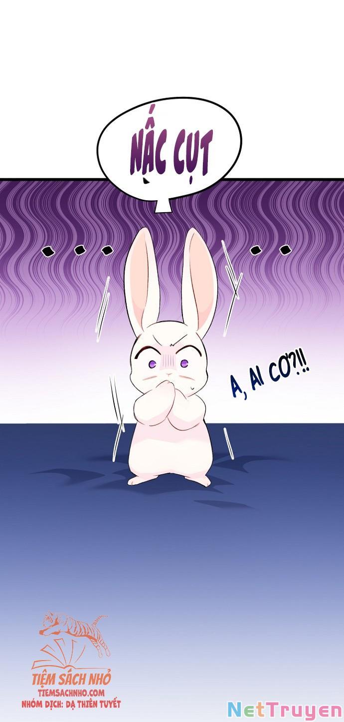 Mối Quan Hệ Cộng Sinh Giữa Báo Đen Và Thỏ Trắng: Chapter 47