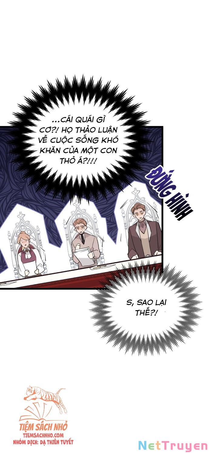 Mối Quan Hệ Cộng Sinh Giữa Báo Đen Và Thỏ Trắng: Chapter 47