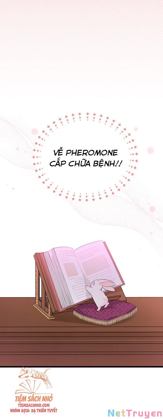 Mối Quan Hệ Cộng Sinh Giữa Báo Đen Và Thỏ Trắng: Chapter 47